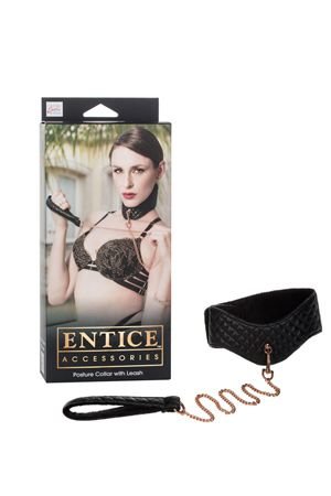 Ошейник с поводком съемный игровой Entice Posture Collar with Leash черный из пвх — Твой Каприз