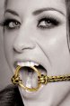 Кляп рамка Open Mouth Gag черный с золотом фото 2 — Твой Каприз