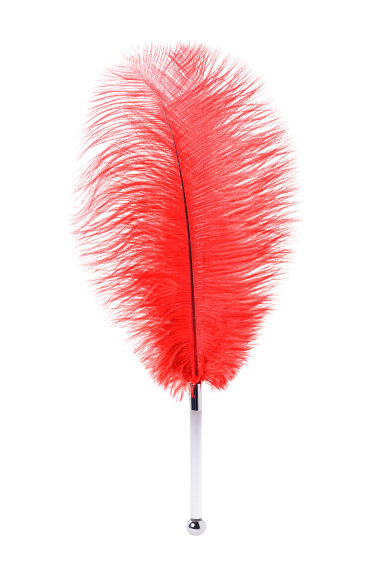 Нежное страусиное перо TOYFA Theatre — Твой Каприз