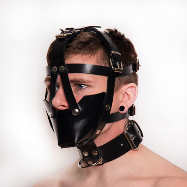 Сбруя на голову с ошейником — Твой Каприз