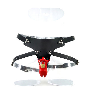 Мужские трусы верности с клеткой на пенис — Твой Каприз