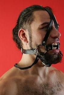 Сбруя с кольцом на поводке Р82а — Твой Каприз