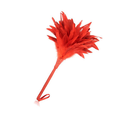 Перьевая кисточка для эротических игр — Твой Каприз