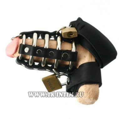 Кожаная бондажная сбруя на член и мошонку — Твой Каприз