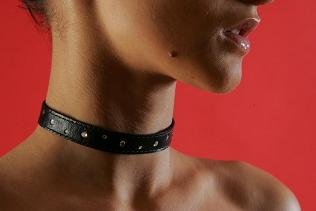 Ошейник узкий декоративный со стразами — Твой Каприз